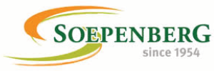 Logo_29